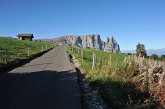 006 Alpe di Siusi - Altipiano dello Sciliar - Punta Sentner